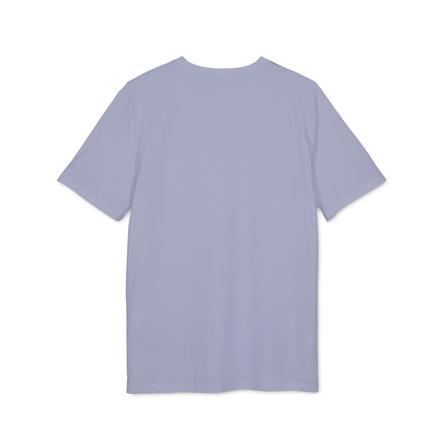Northern Angels Logo Organic T-Shirt